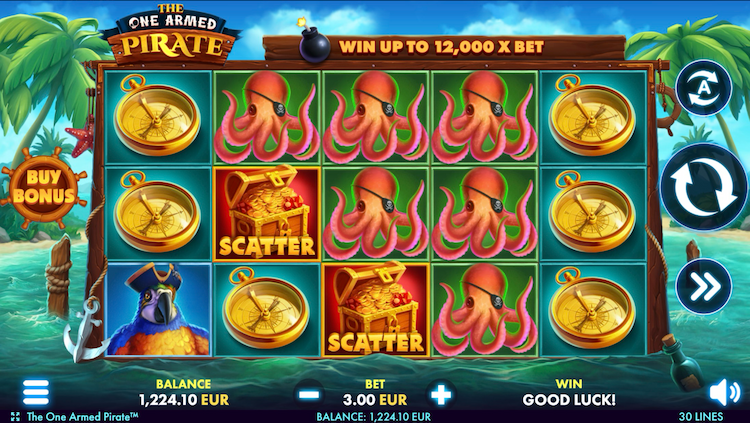 NetGame Entertainment Slot The One Armed Pirate