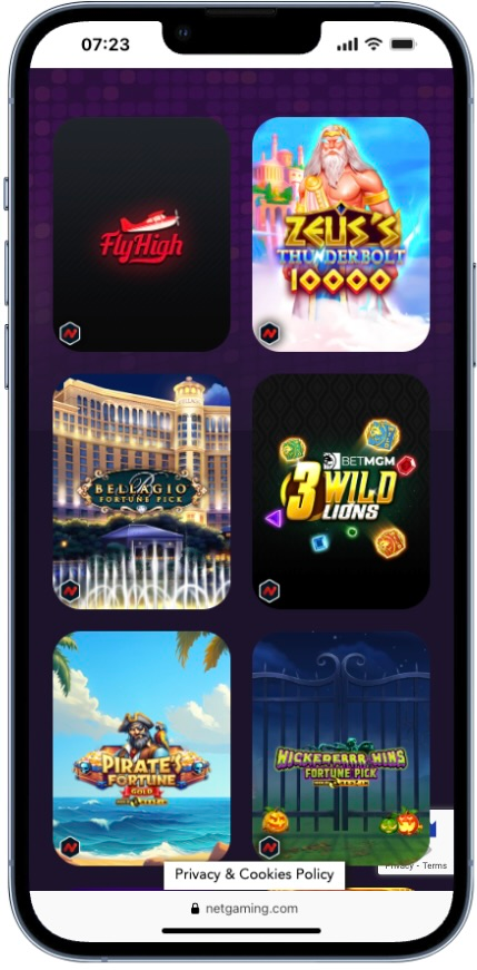 NetGaming Casinos