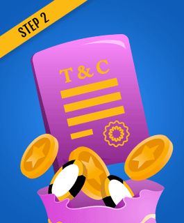 Terms and conditions document for a 30 free spins offer.
